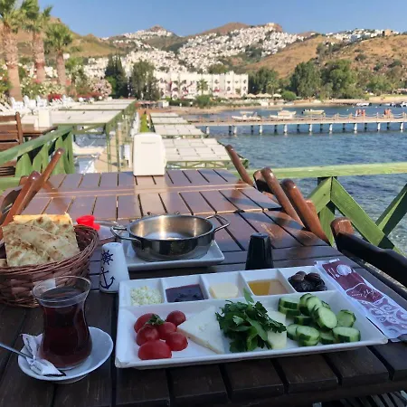Bankev Sitesi Kargi Koyu Ilginlar Plaji *