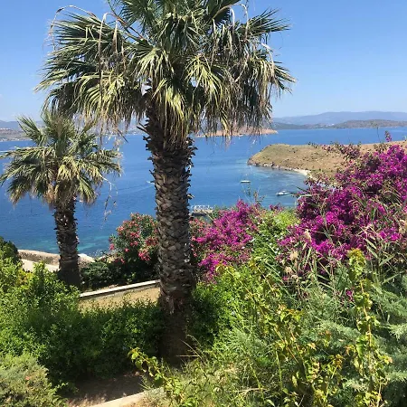 Bankev Sitesi Kargi Koyu Ilginlar Plaji Bodrum