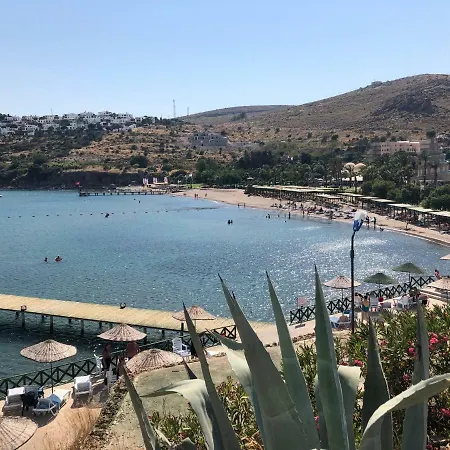 Bankev Sitesi Kargi Koyu Ilginlar Plaji Bodrum